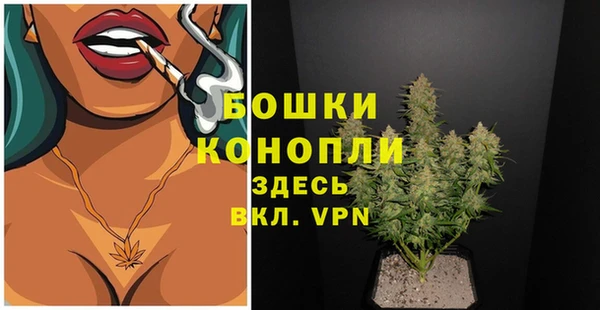 МДПВ Козельск