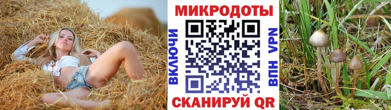 Купить закладки  Рязань  Галлюциногенные грибы MAGIC MUSHROOMS 